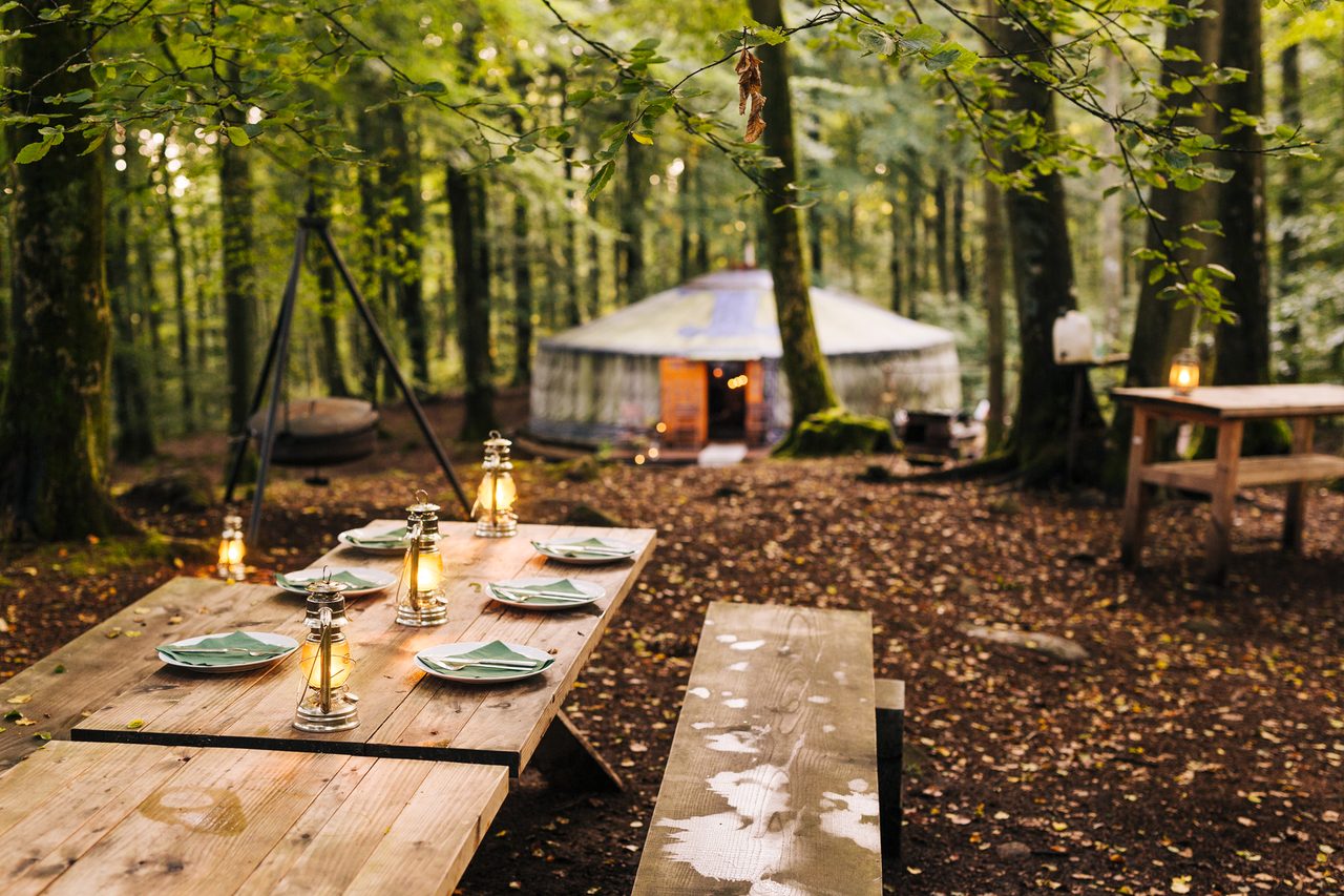 Natural landscape, Outdoor furniture, Table, Plant, Tableware, Leaf, Tree, Wood, Yellow