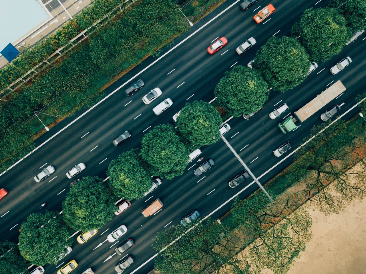 Motor vehicle, Automotive lighting, Road surface, Land lot, Car, Plant, Green, Asphalt, Grass