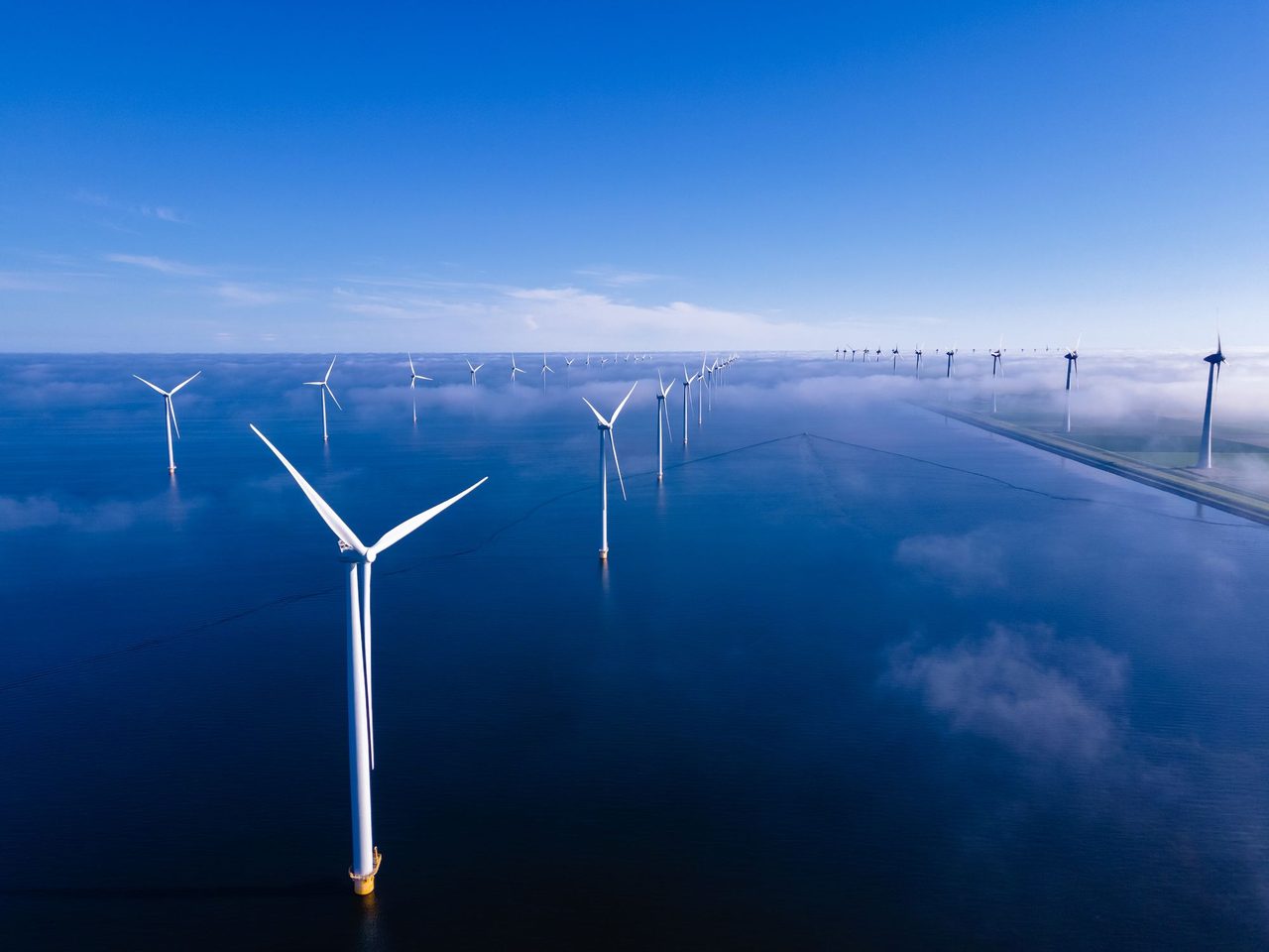 Wind turbines in the ocean