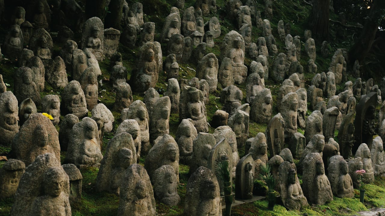 Military camouflage, Plant, Biome, Soldier, Grass