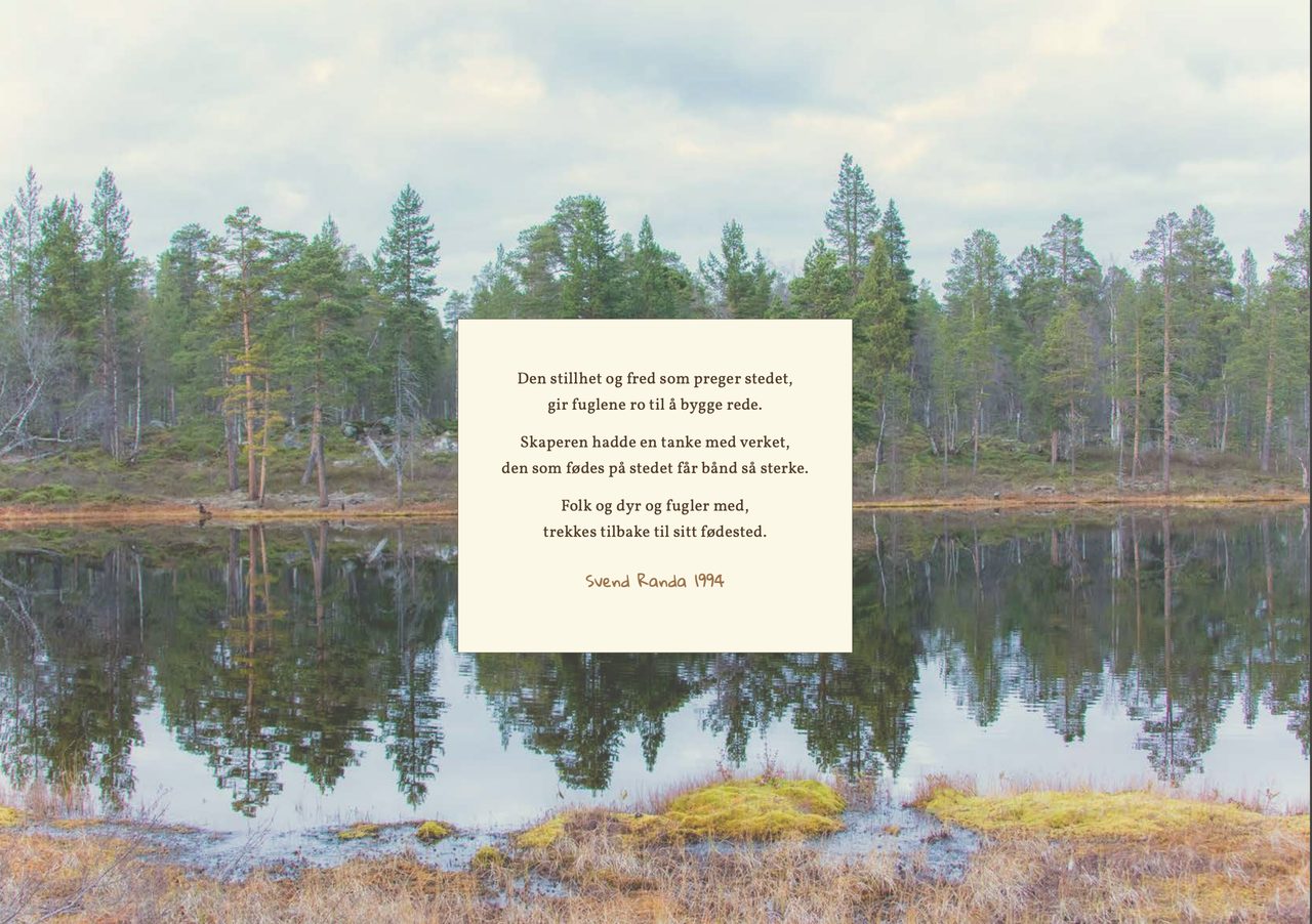 Water resources, Plant community, Natural landscape, Sky, Cloud, Lake, Tree, Vegetation