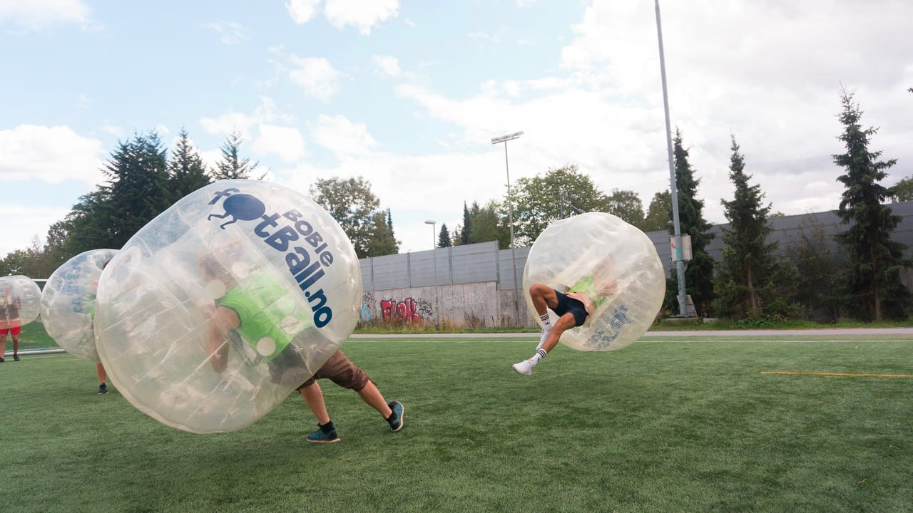 Sports equipment, Sky, Cloud, Plant, Vertebrate, World, Tree, Ball, Football, Mammal