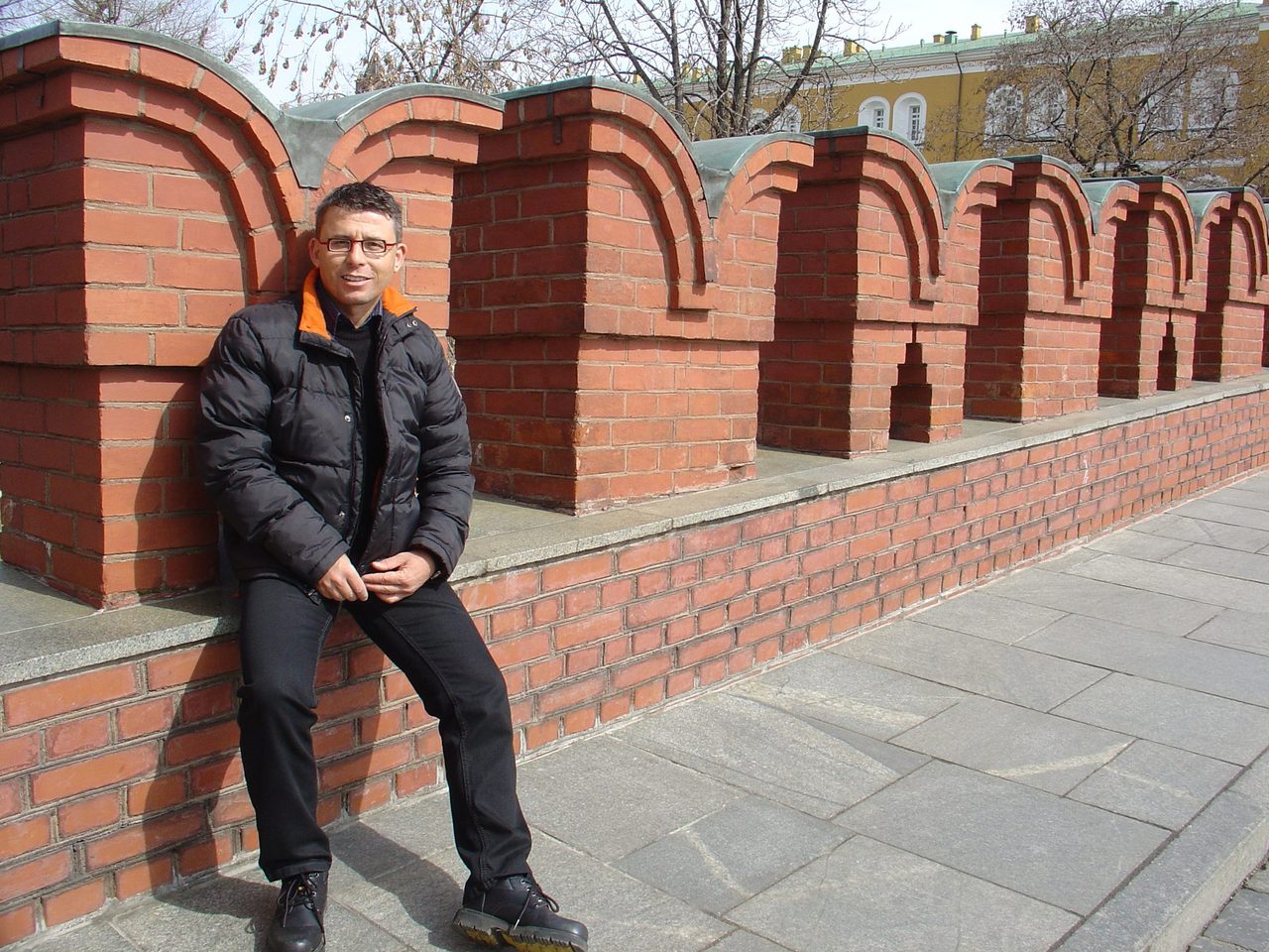 Tree, Sleeve, Brickwork, Brick, Leisure