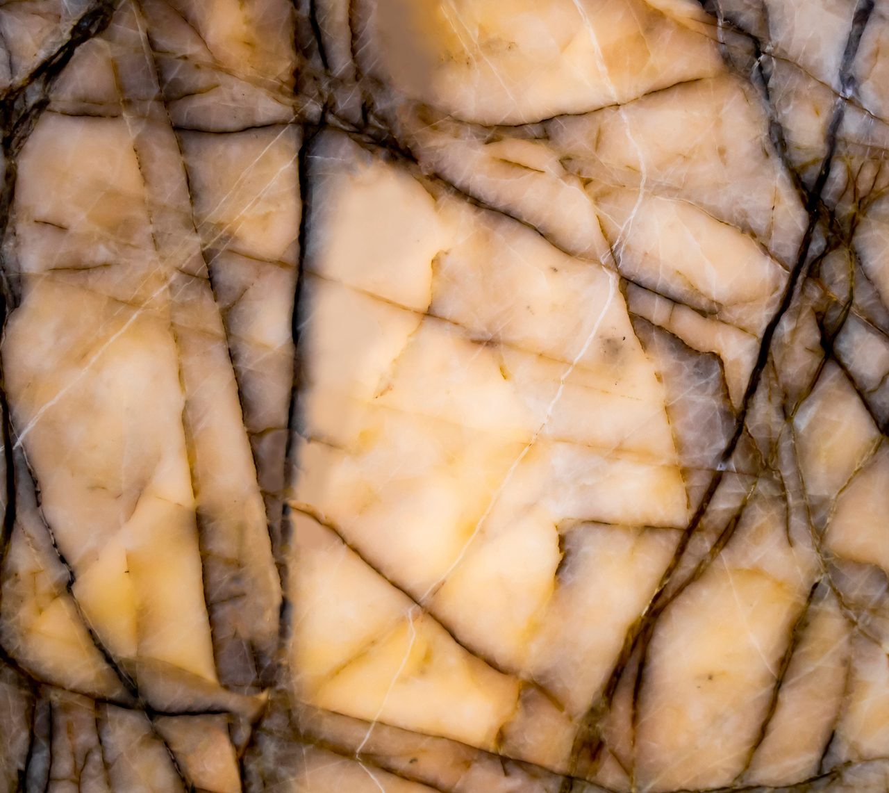 Antolinis Cristallo Roots 
