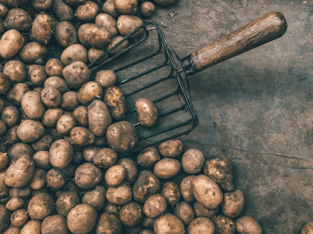 A photo from food market in Poland