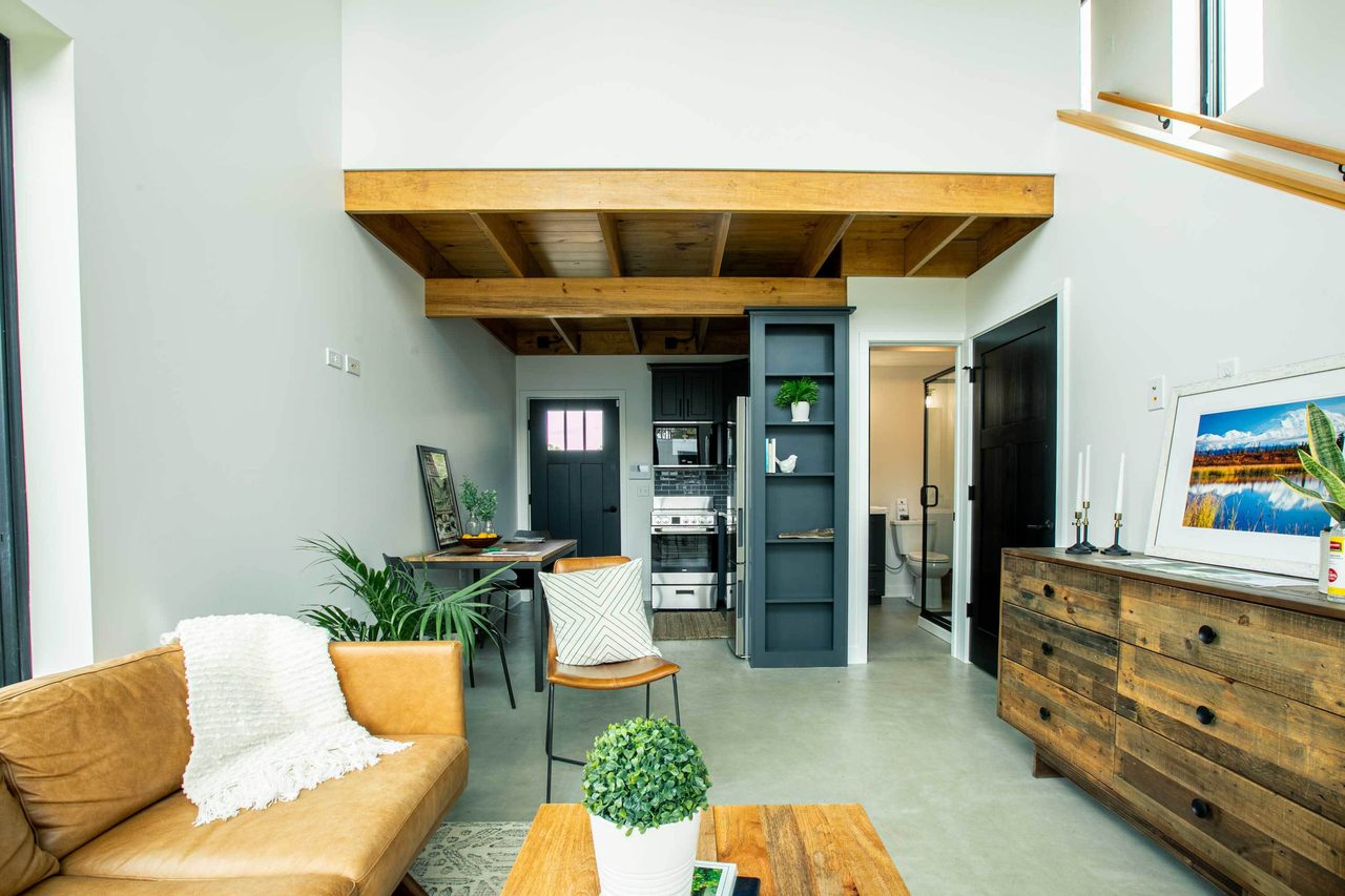studio couch, Furniture, Plant, Flowerpot, Houseplant, Cabinetry, Floor, Wood, Flooring