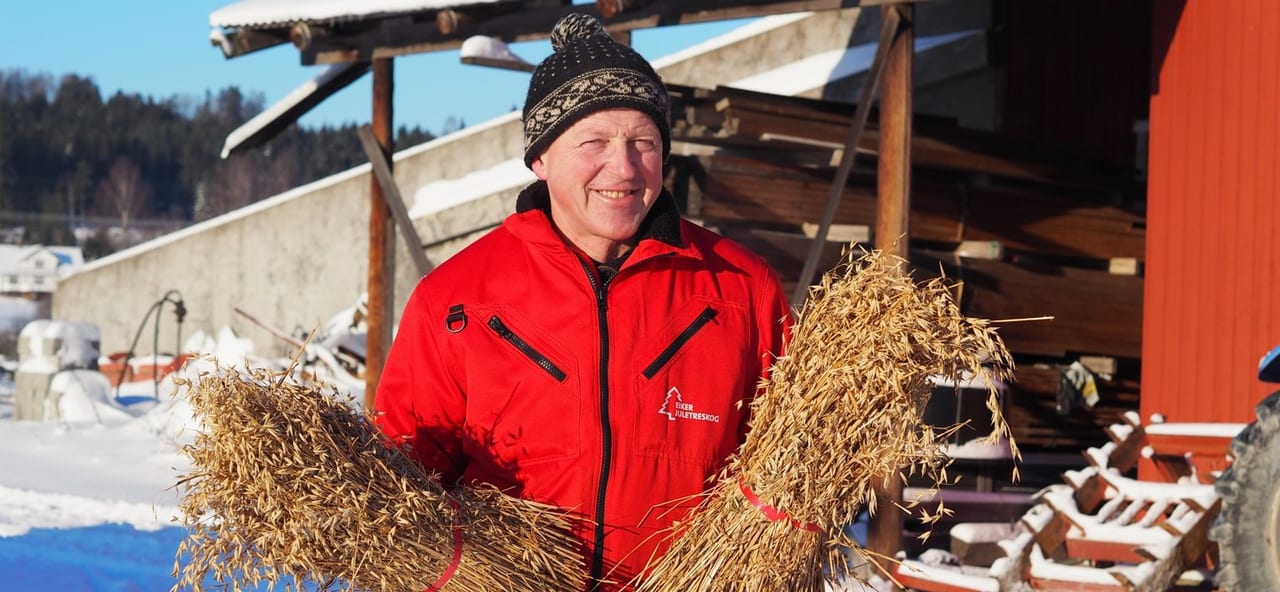 Smile, Outerwear, Wood, Hat, Jacket