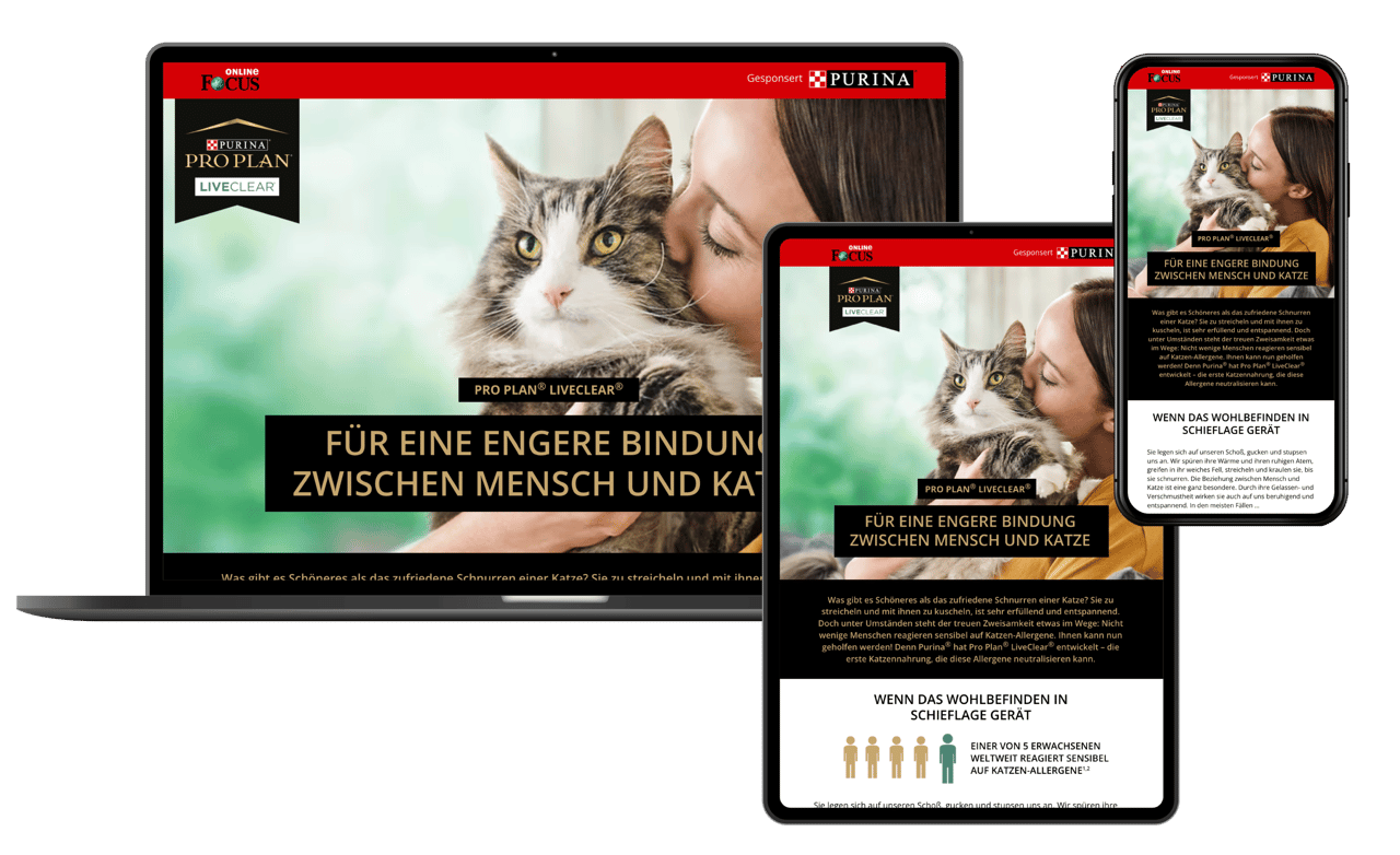 Small to medium-sized cats, Cat, Product, Felidae, Carnivore, Font