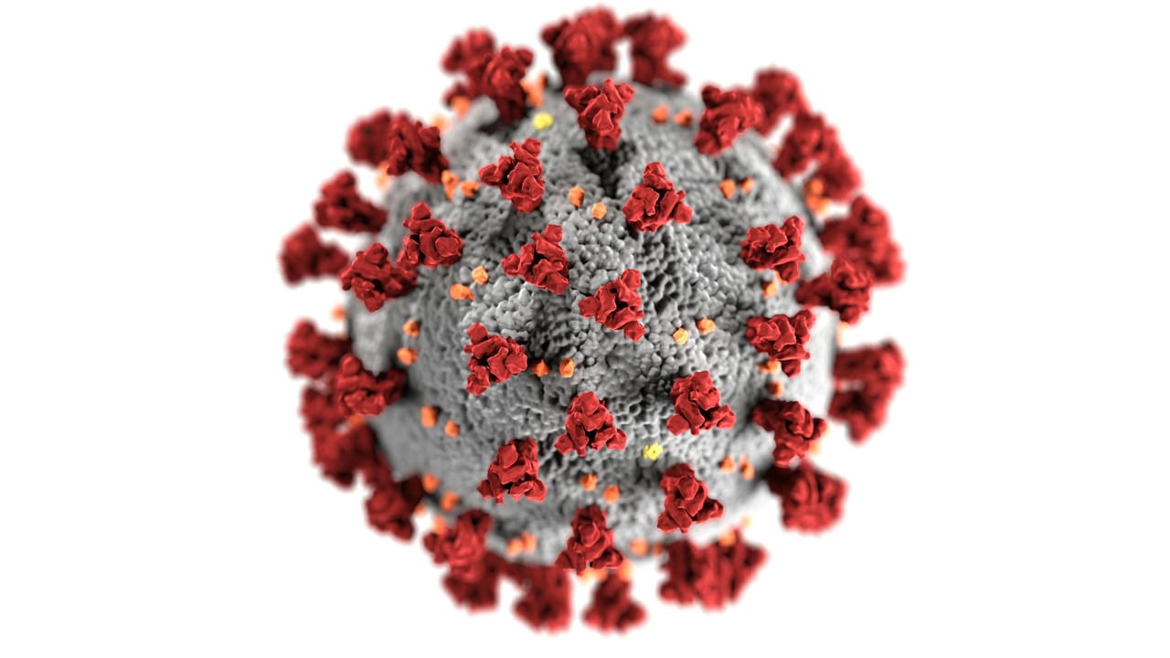 Detailed 3D representation of the coronavirus structure highlighting spike proteins.. CDC: https://www.pexels.com/@cdc-library