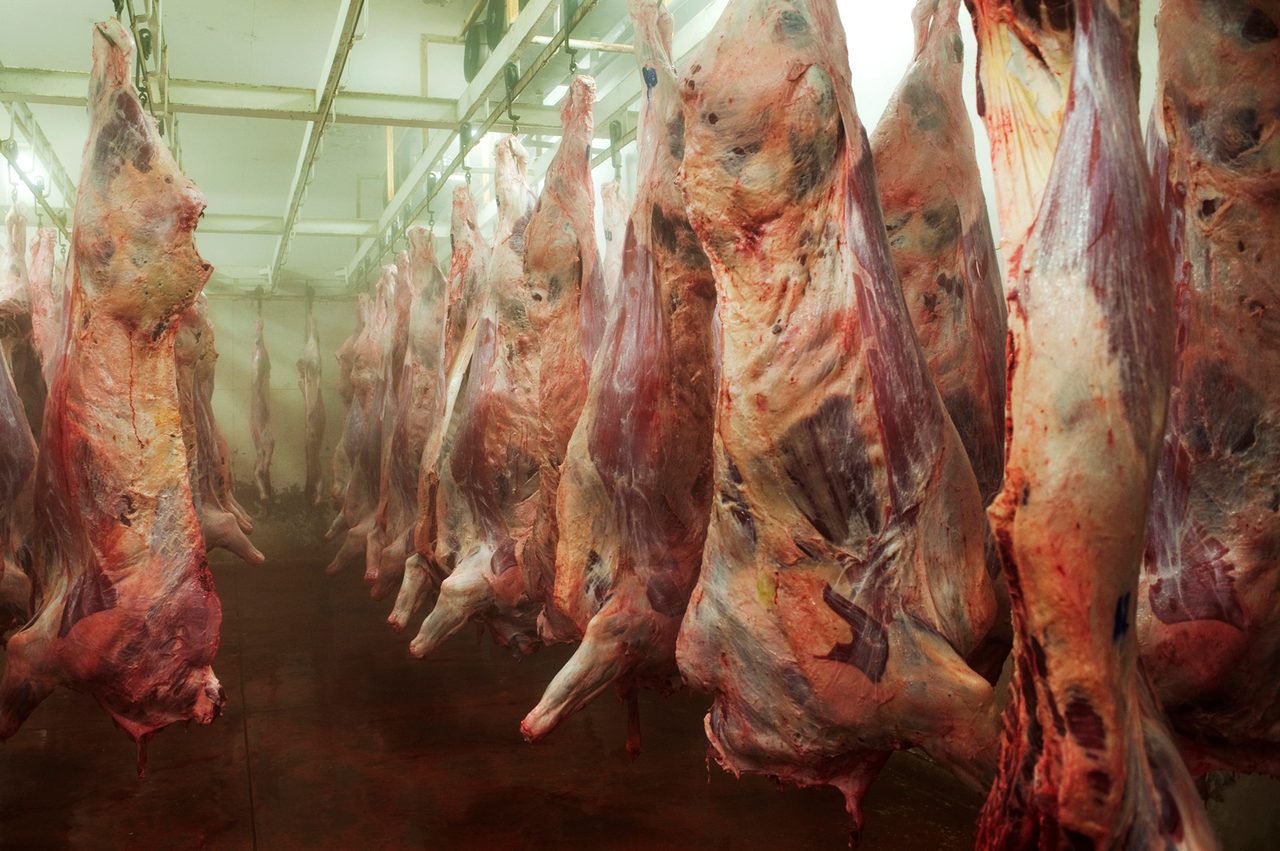 Animal product, Food, Cuisine