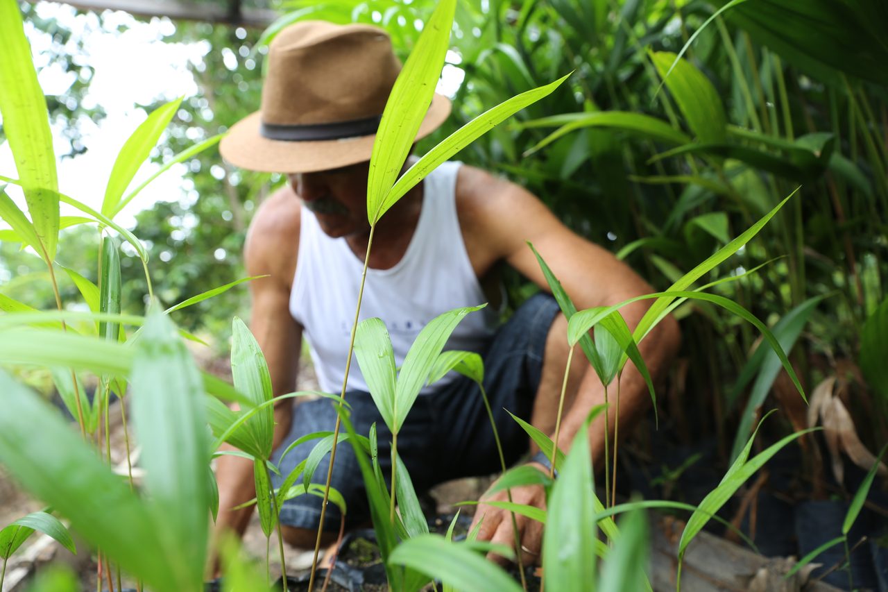 People in nature, Sun hat, Terrestrial plant, Jeans, Shirt, Sunglasses, Fedora, Vegetation