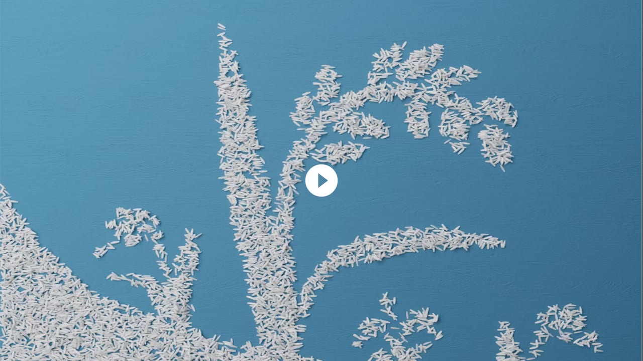 Azure, Branch, Twig, Organism, Font, Art