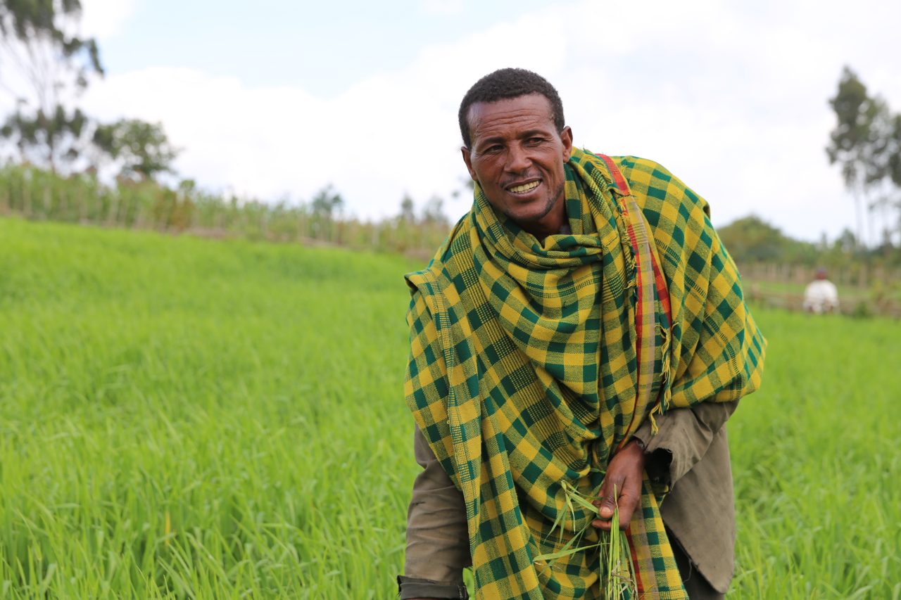 People in nature, Sky, Smile, Cloud, Plant, Farmer, Happy, Grass, Tree, Agriculture