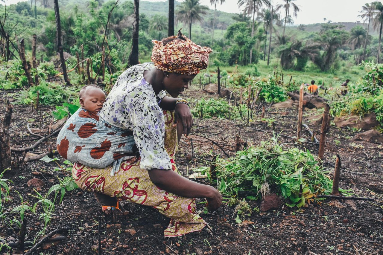 People in nature, Terrestrial plant, Botany, Farmer