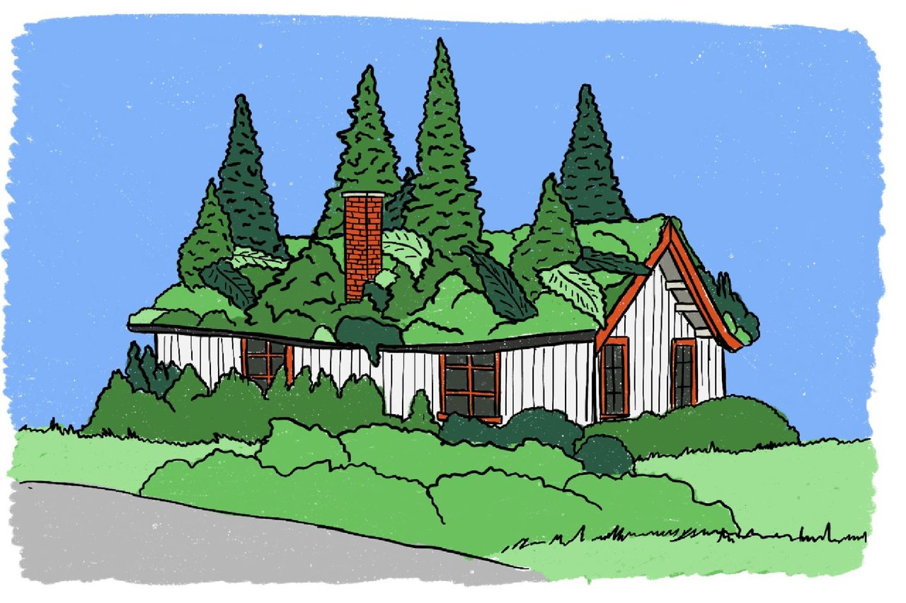 Natural landscape, Christmas tree, Plant, Nature, Window, Mountain, Organism, House, Painting
