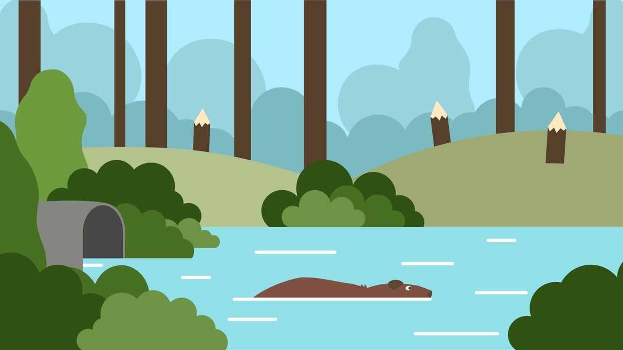 Natural environment, Daytime, Vertebrate, Ecoregion, Azure, Nature, Green, Plant, World, Tree