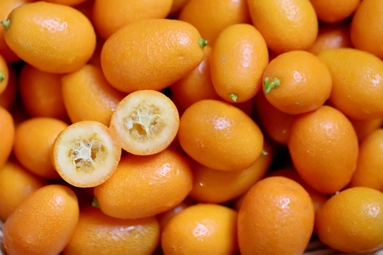 kumquats, citrus fruits, tropical fruits
