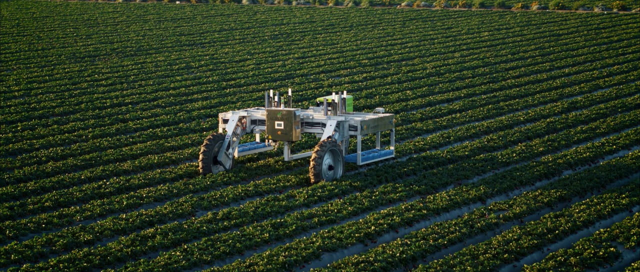 Agrobot autonomous strawberry-picking robot. Source: courtesy of Agrobot