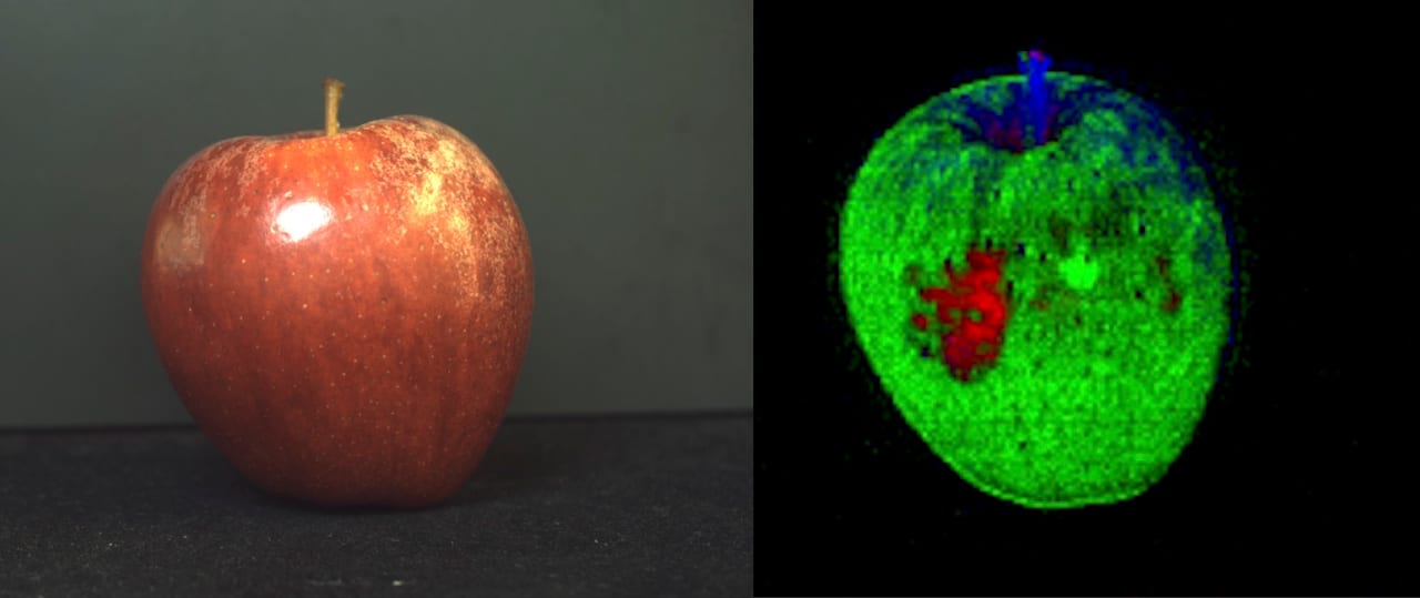 Figure 4. The red area in the hyperspectral image reveals subsurface bruising not visible in the color image. Source: Stemmer Imaging