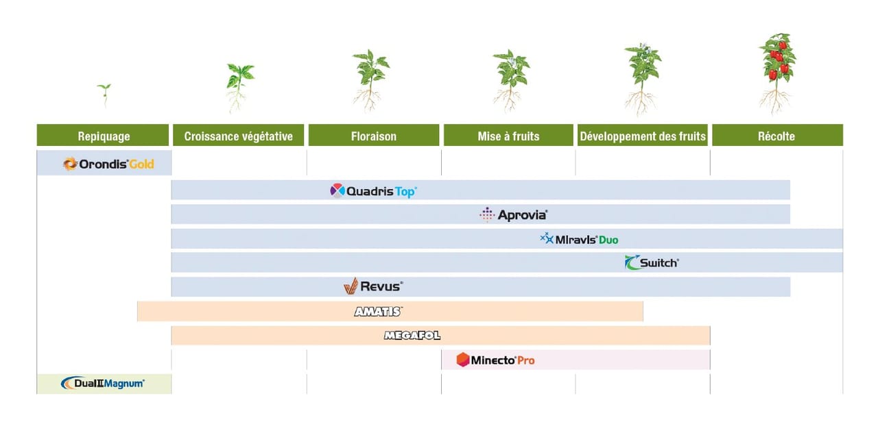 Pepper application chart