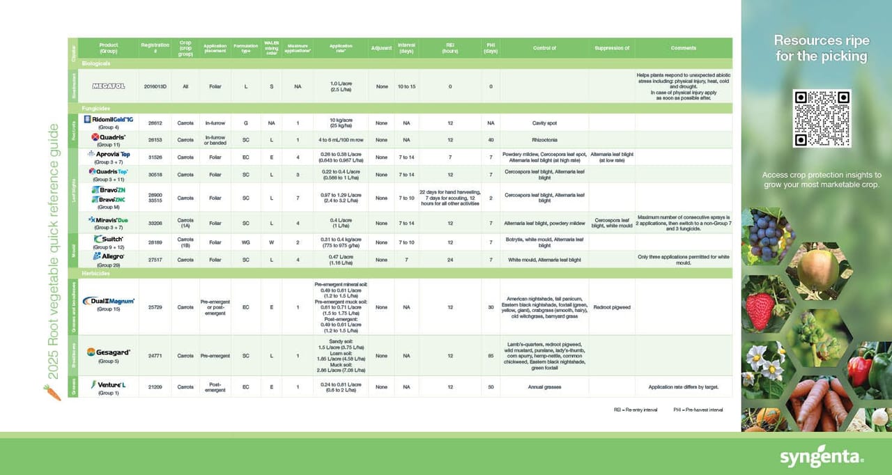 root vegetable quick reference guide