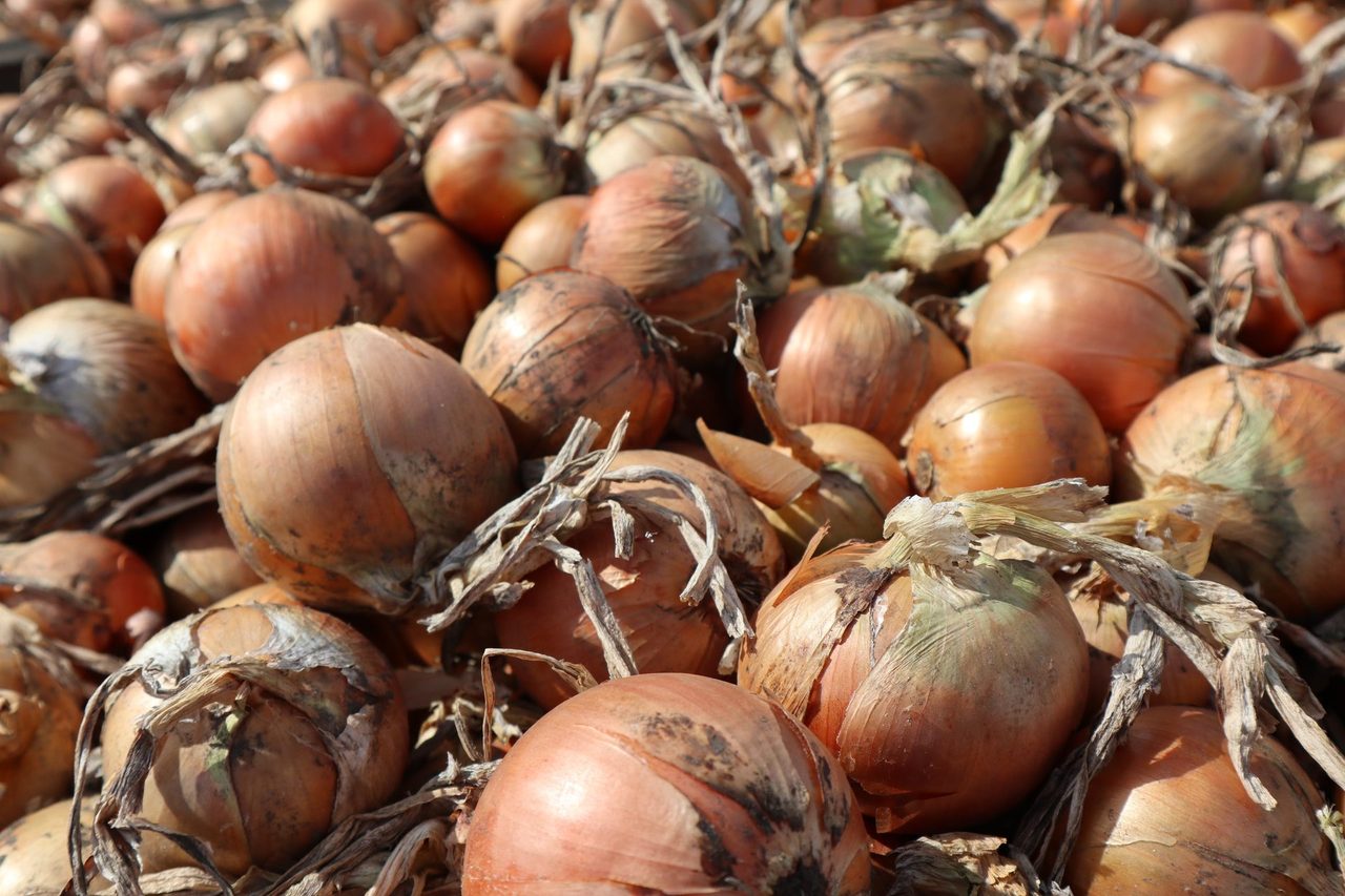 a pile of  onions