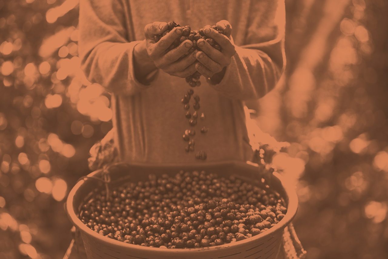 Food, Sleeve, Gesture, Plant, Bean