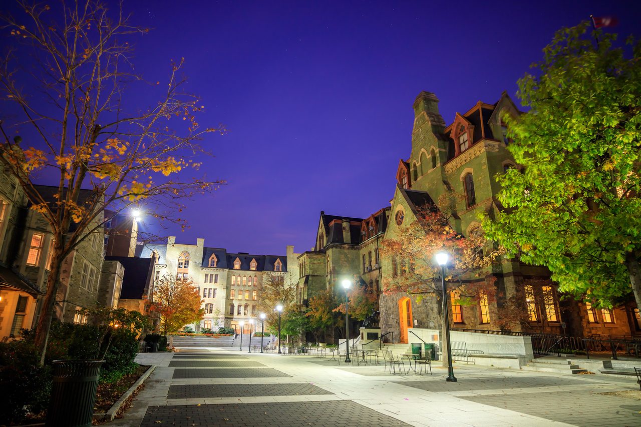 Street light, Road surface, Building, Plant, Sky, Window, Property, Tree, Architecture, Dusk