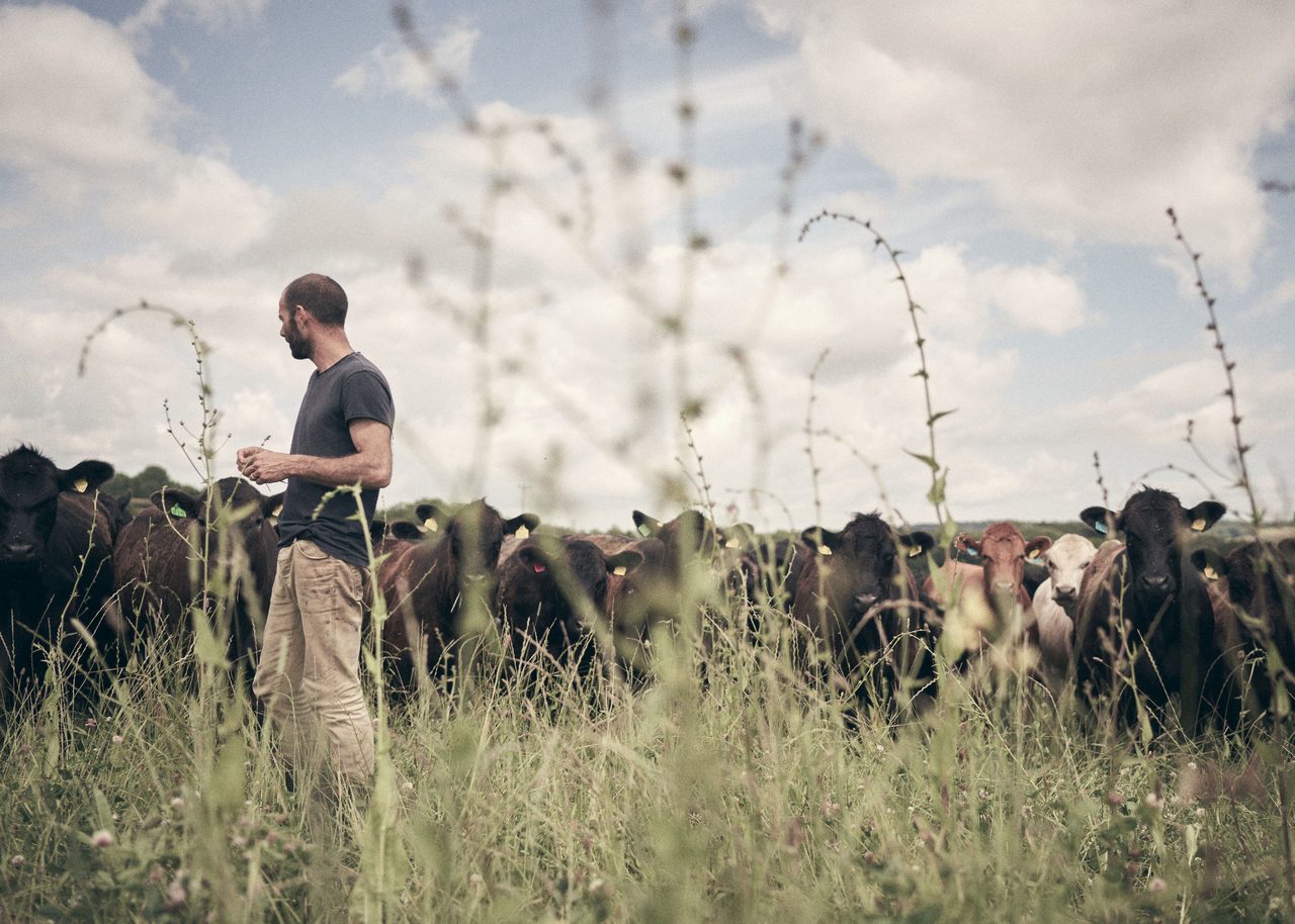 People in nature, Working animal, Cloud, Sky, Plant, Grass, Grassland