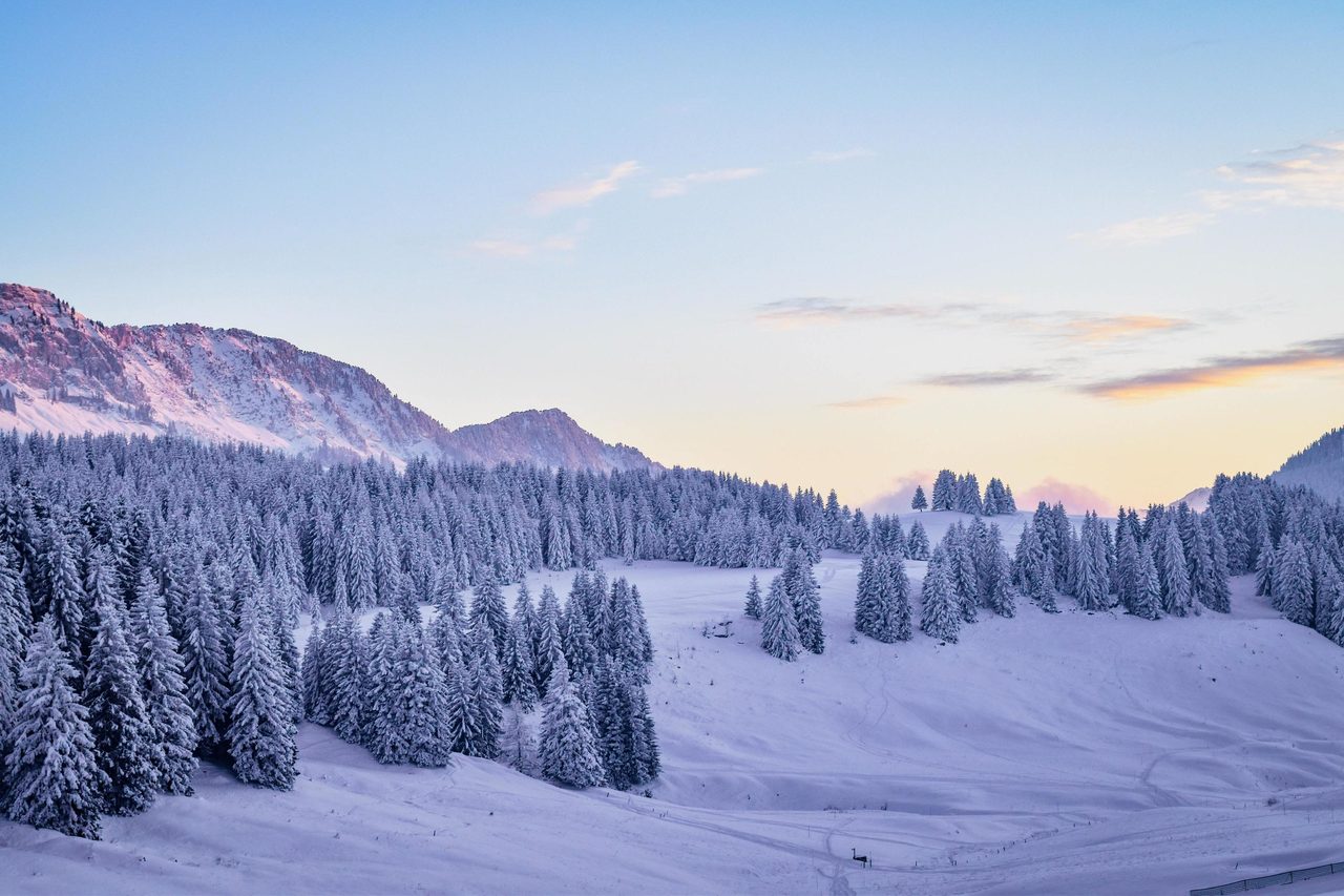 Natural landscape, Cloud, Sky, Plant, Mountain, Slope, Larch, Snow, Highland, Tree