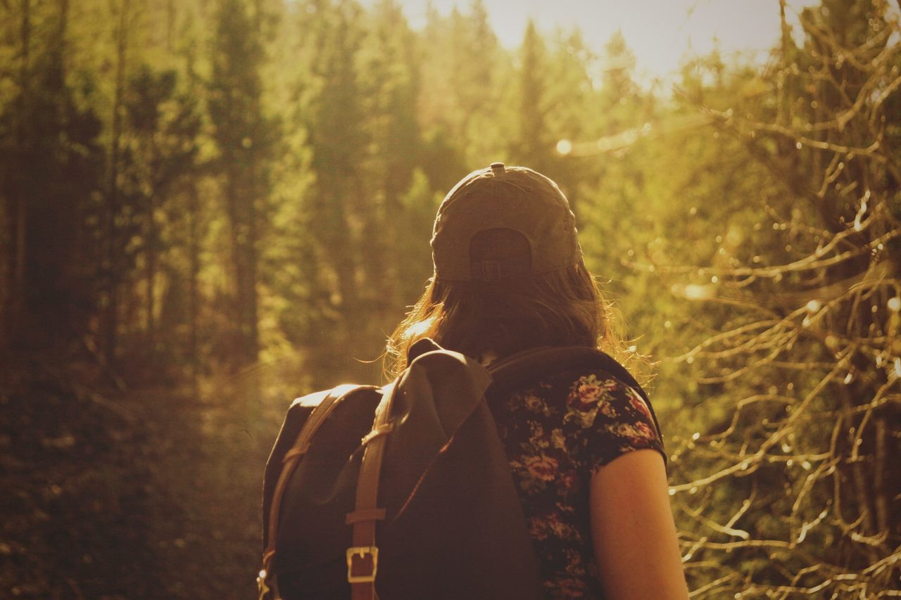 Exploring the forest