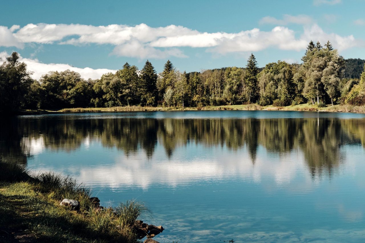 Reflection in the lake