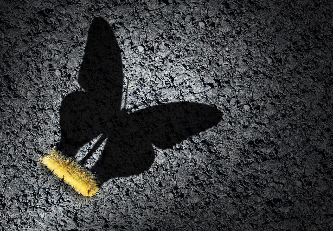 Winning Through Change