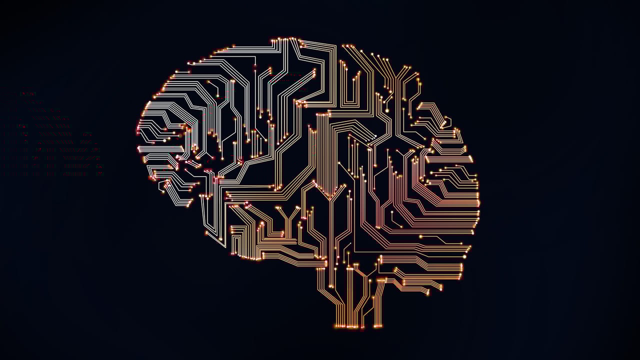 Effective Restoration Software Hinges on the Human Factor
