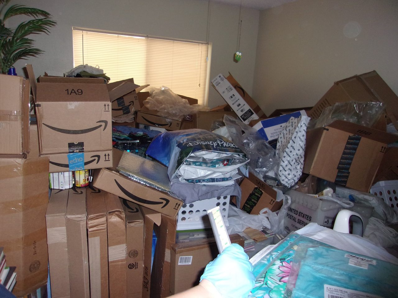 Hoarded Amazon Boxes