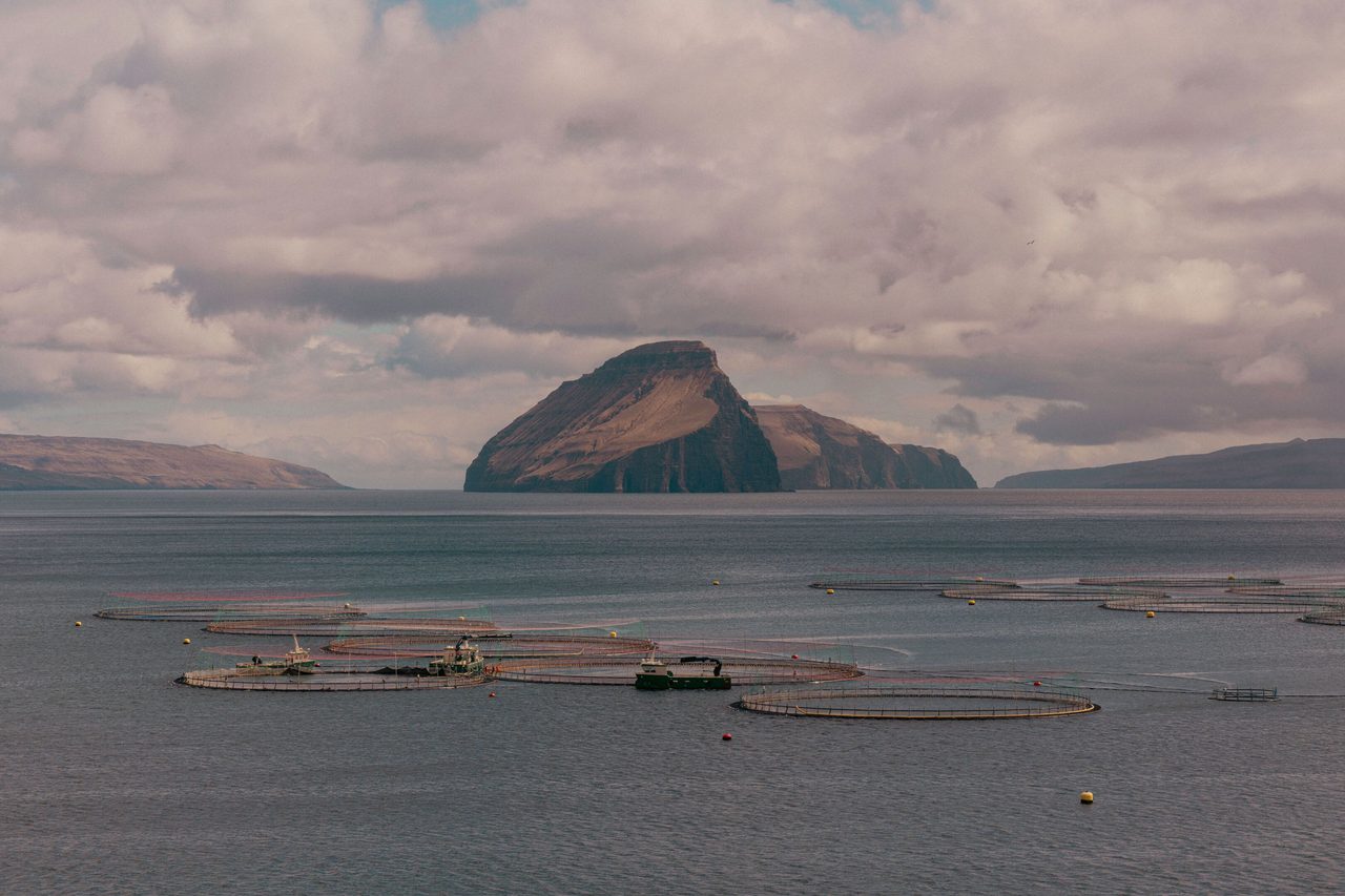 Serene coastal landscape featuring aquaculture nets against rugged cliffs in the Faroe Islands.. Raul Ling: https://www.pexels.com/@raulling
