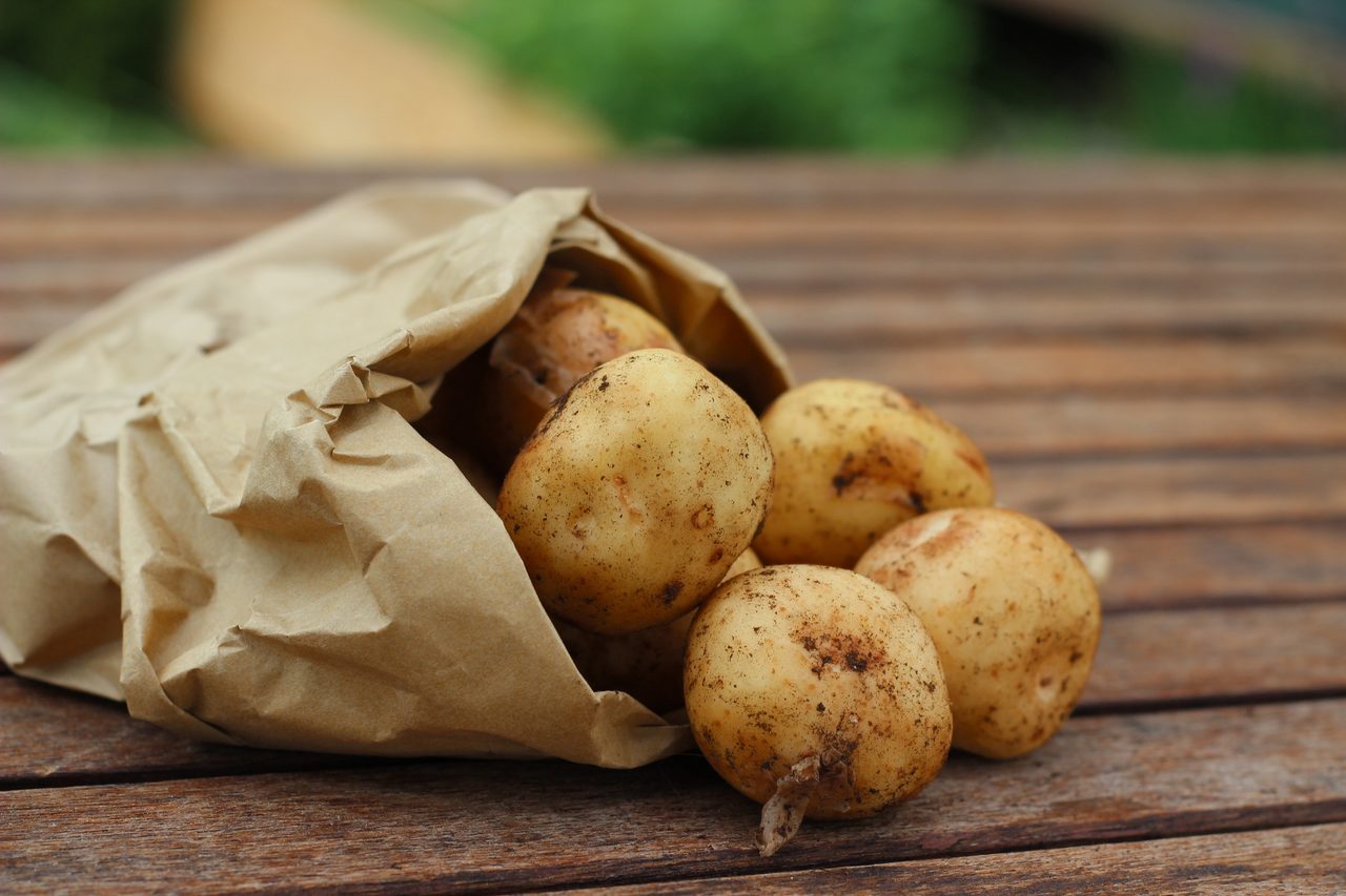 potatoes, food, vegetable, potatoes, potatoes, potatoes, potatoes, potatoes
