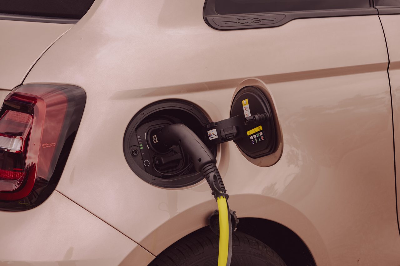 Automotive tail & brake light, Motor vehicle, Wheel, Car, Hood, Plant