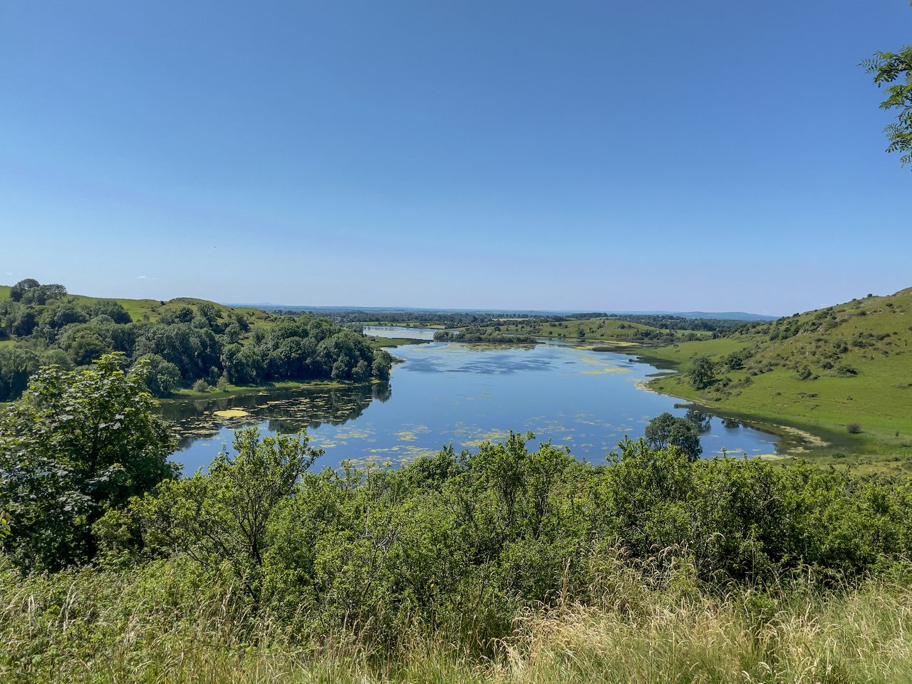Fluvial landforms of streams, Plant community, Natural landscape, Lacustrine plain, Sky, Water, Tree, Watercourse, Lake