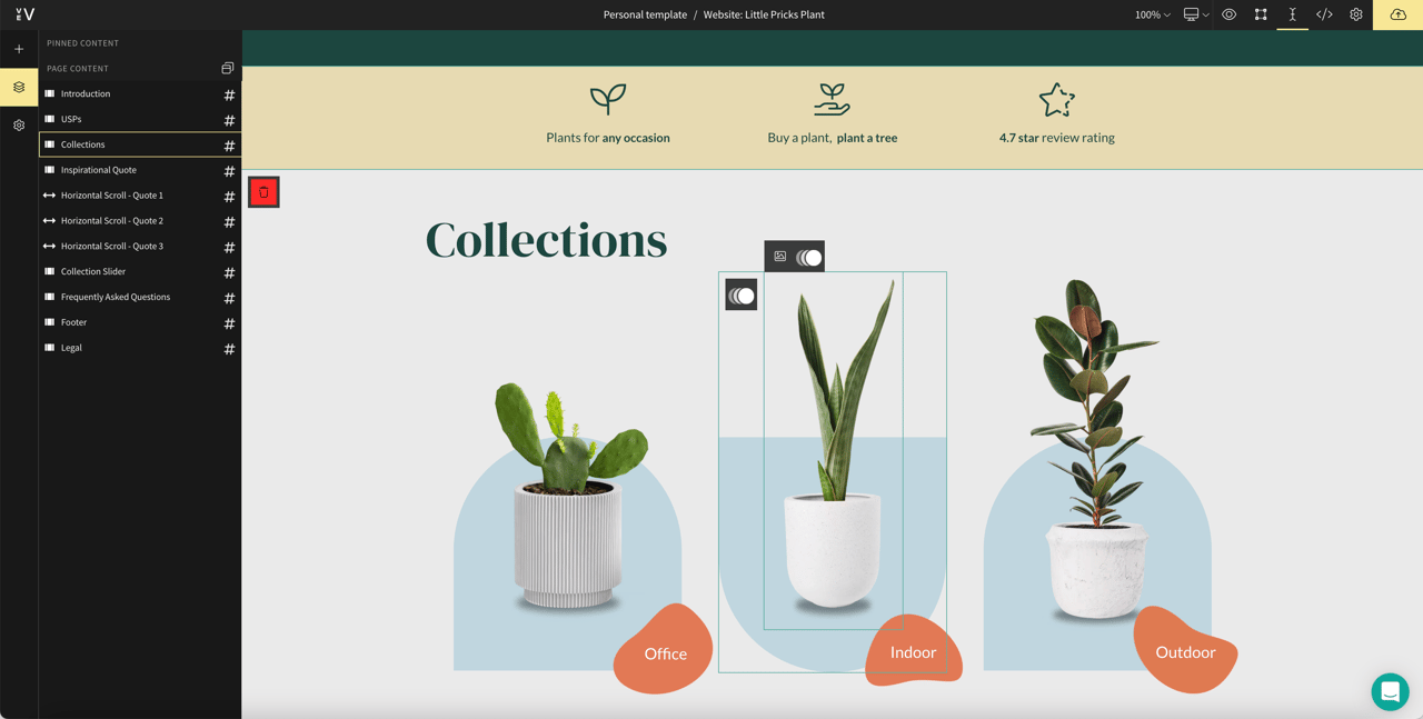 Terrestrial plant, Flowerpot, Houseplant, Product, Organism, Font, Screenshot