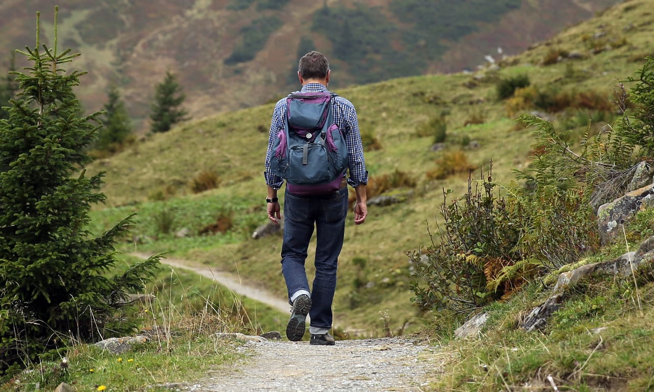 People in nature, Plant community, Mountainous landforms, Mountain, Highland, Tree, Grass