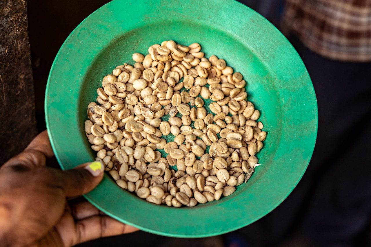 Nuts & seeds, Ingredient, Food, Produce, Bean, Seed