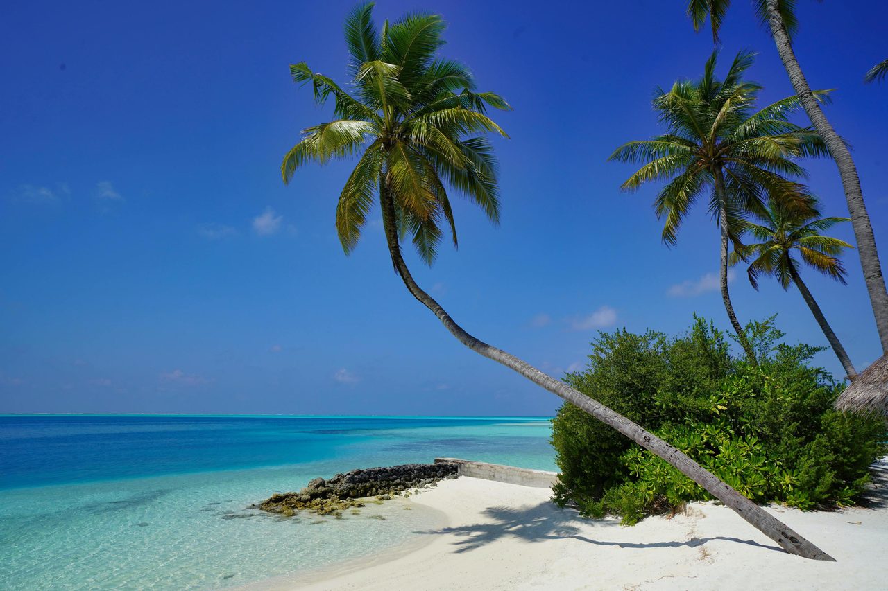 Very relaxing ocean background in Alif Alif Atoll, Maldives.