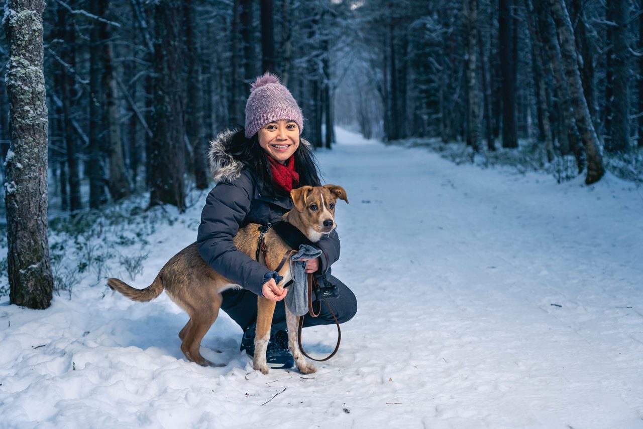 Dog breed, Outdoor recreation, Smile, Snow, Plant, Carnivore, Tree, Fawn