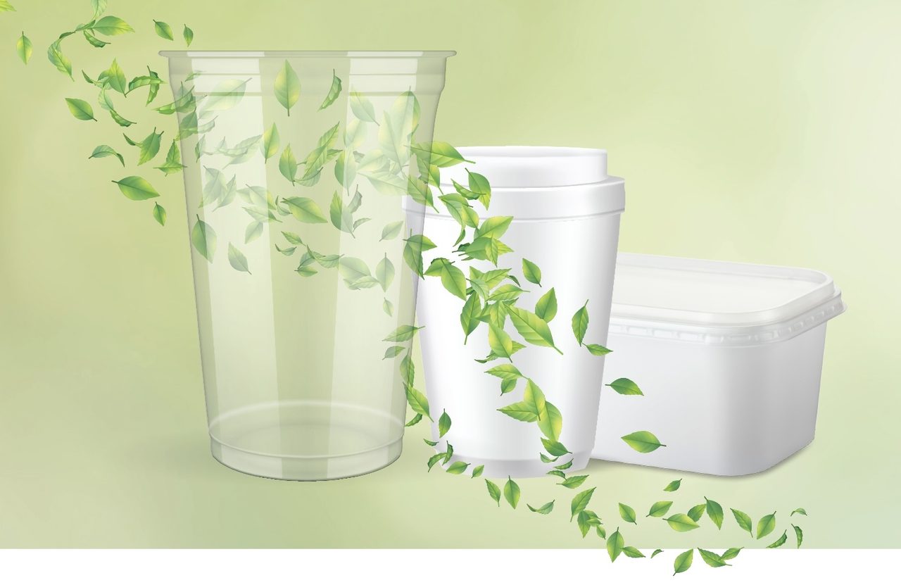 Plant, Drinkware, Liquid, Rectangle, Cylinder