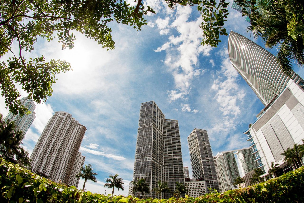 Cloud, Sky, Building, Skyscraper, Daytime, Property, World, Green, Leaf, Plant