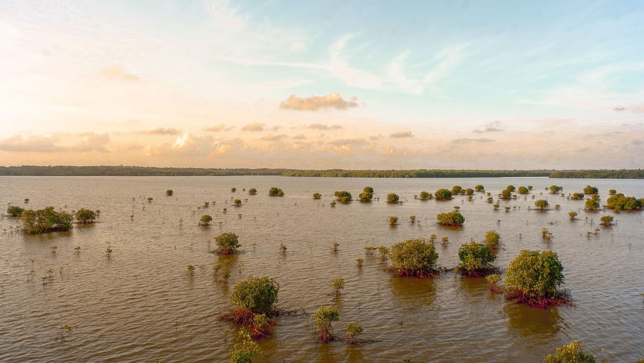 Water resources, Natural landscape, Cloud, Sky, Plant, Lake, Vegetation, Tree, Bank