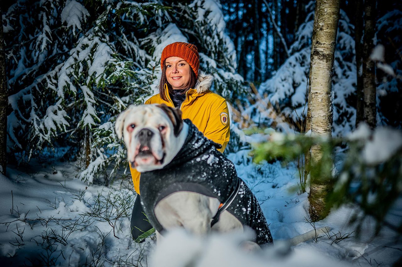 People in nature, Dog breed, Plant, Snow, Carnivore, Tree, Fawn