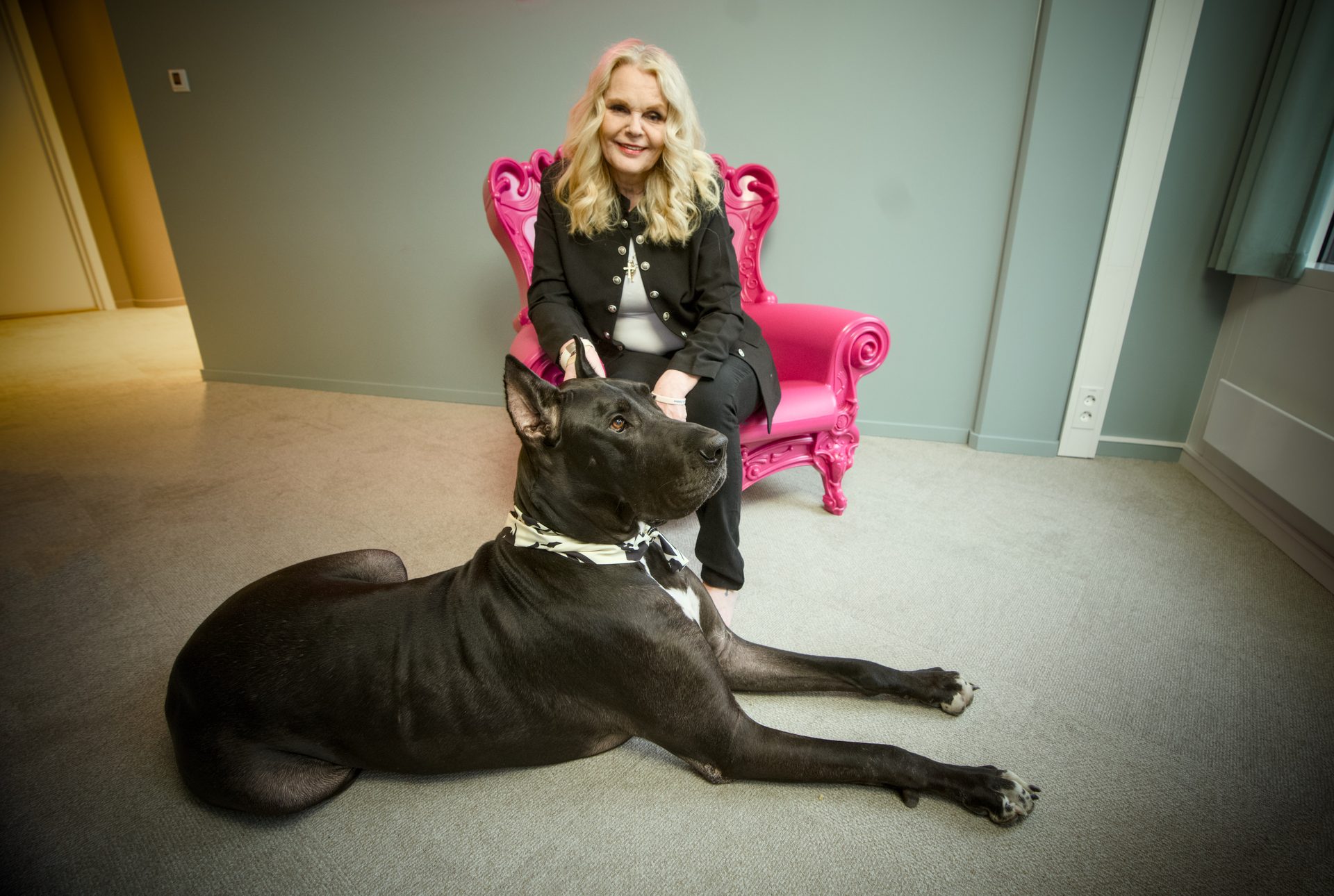 Blonde woman in a pink chair, a large black Great Dane lies on the floor.