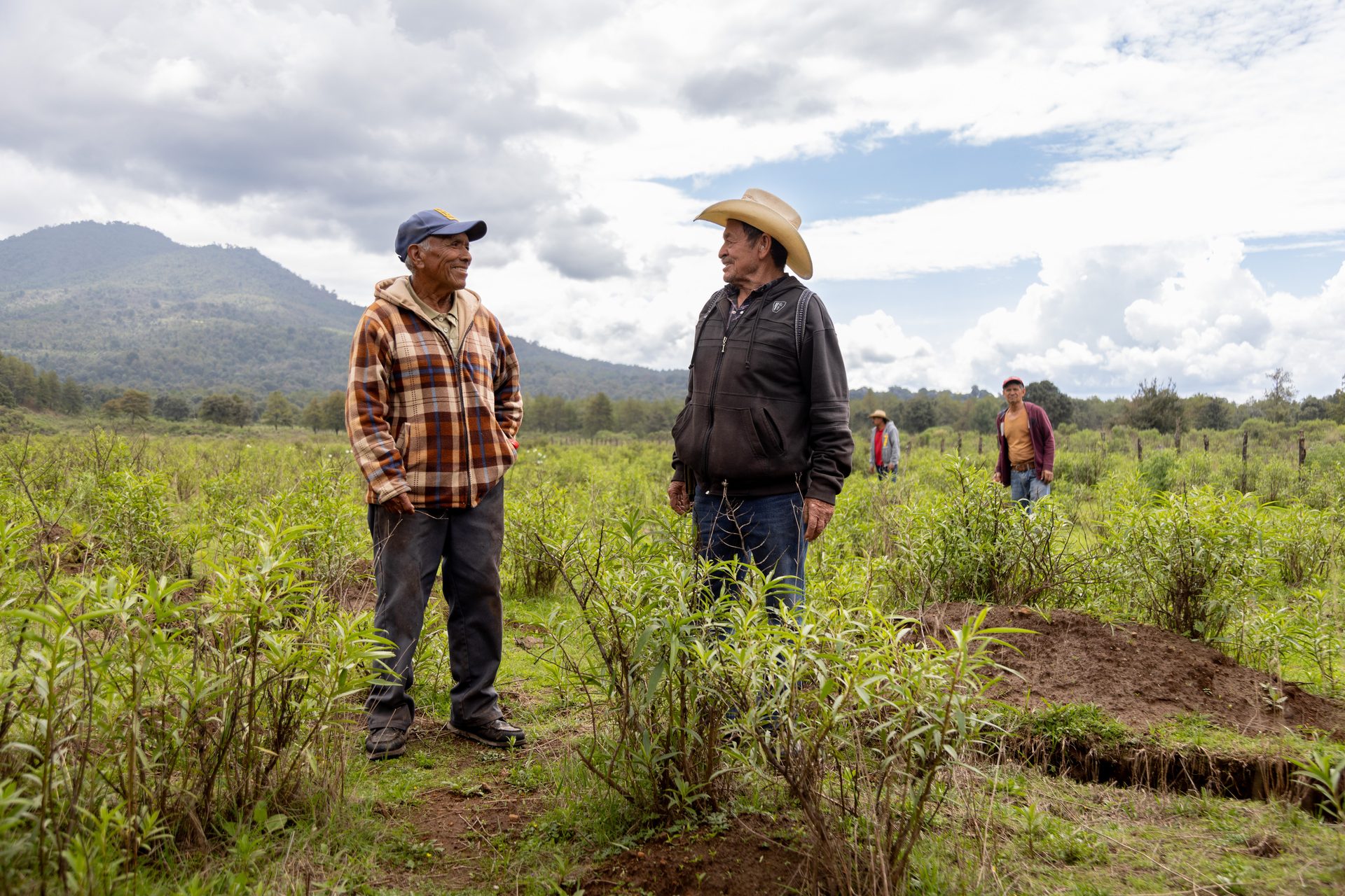 People in nature, Natural landscape, Cloud, Plant, Sky, Hat, Grassland